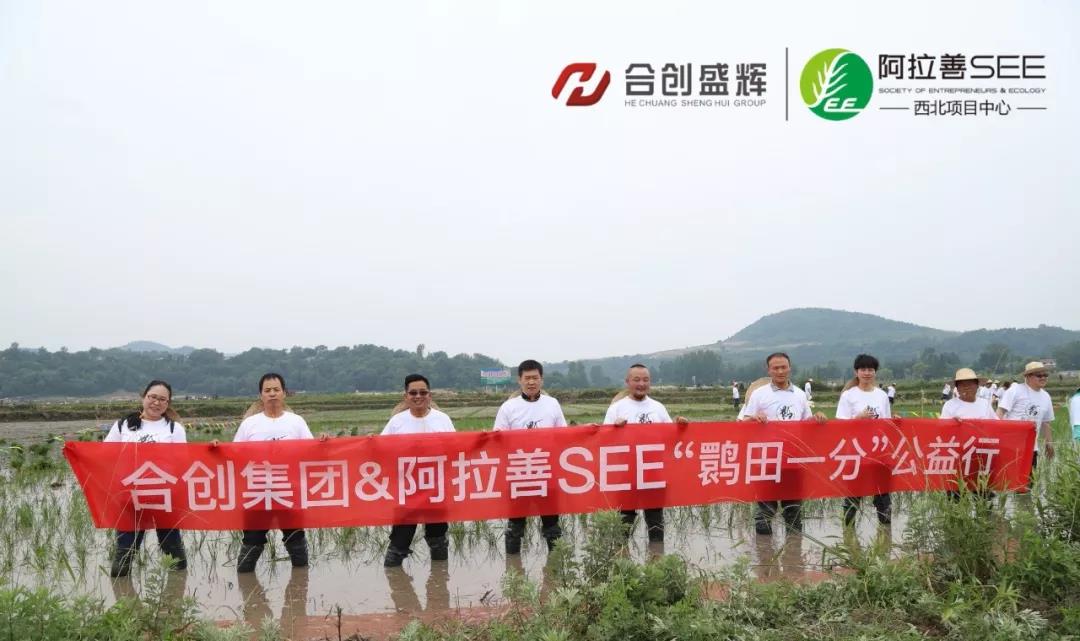 合創(chuàng)集團(tuán)攜手阿拉善SEE“鹮田喜地 春種有我”公益行